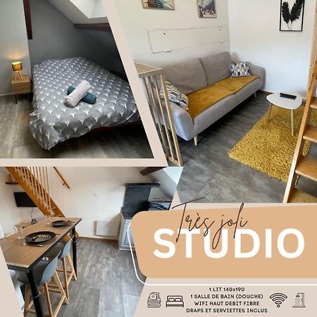 Superbe Studio A Proximite Du Centre-Ville Saint-Die-des-Vosges Luaran gambar