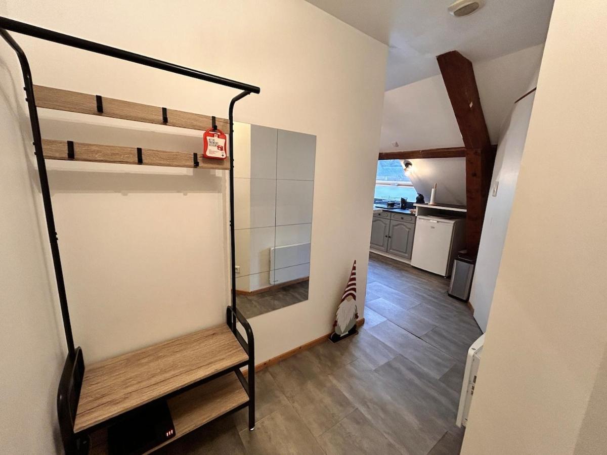 Superbe Studio A Proximite Du Centre-Ville Saint-Die-des-Vosges Luaran gambar