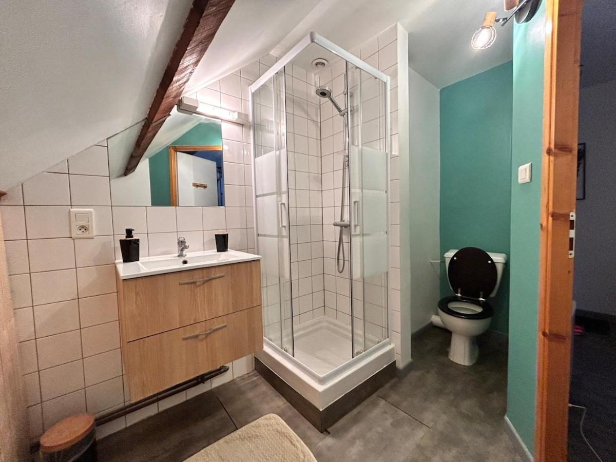 Superbe Studio A Proximite Du Centre-Ville Saint-Die-des-Vosges Luaran gambar