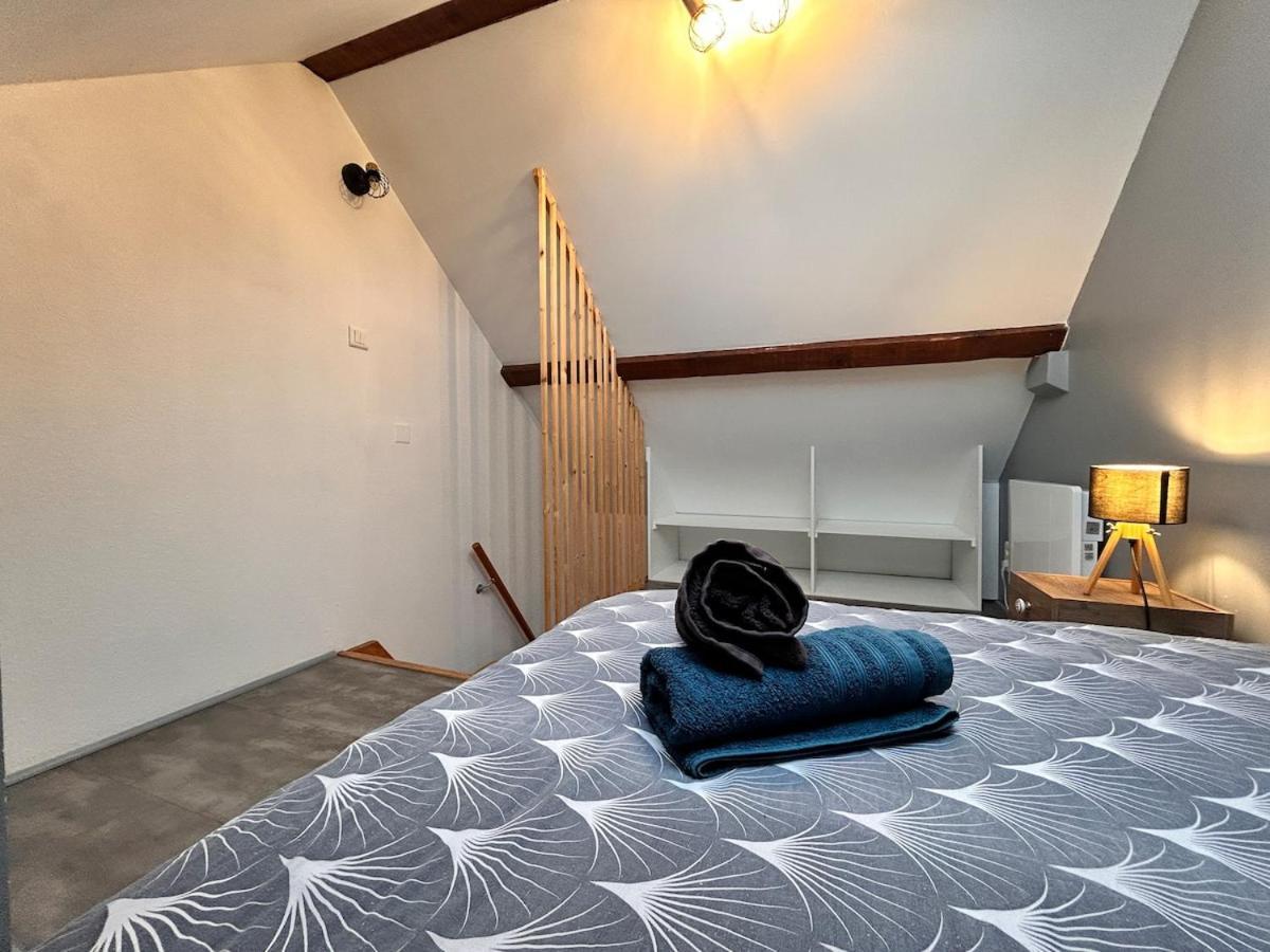 Superbe Studio A Proximite Du Centre-Ville Saint-Die-des-Vosges Luaran gambar